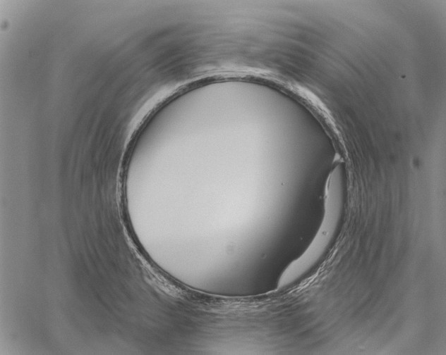 X0000060581183200512011725