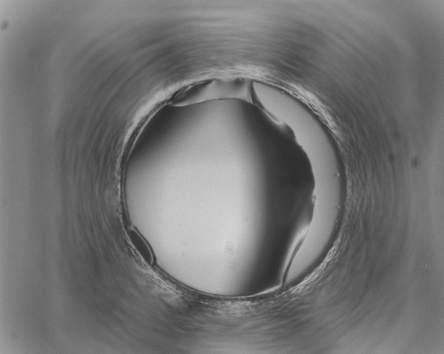 X0000060581184200512011725