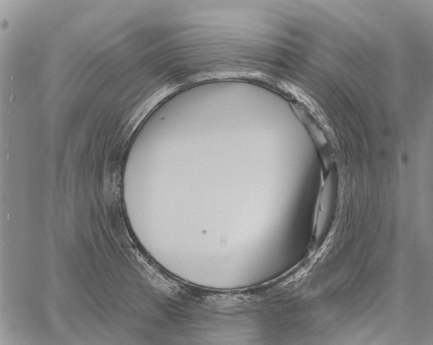 X0000060581185200512011725