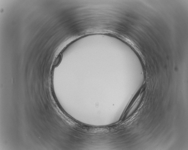 X0000060581187200512011725