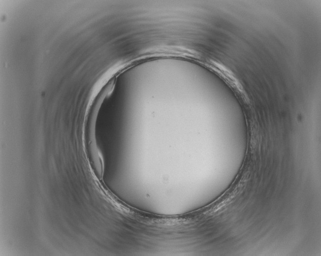 X0000060581188200512011725