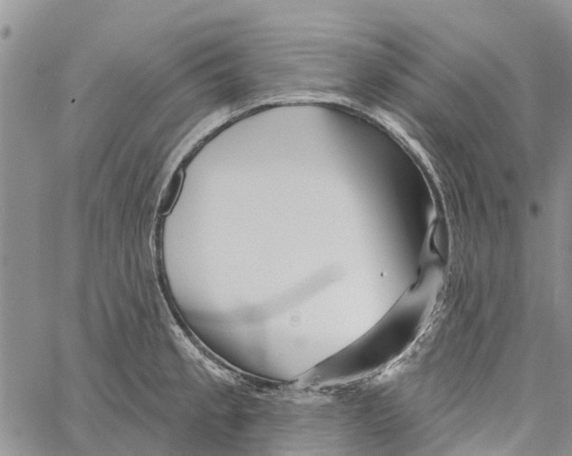 X0000060581189200512011725