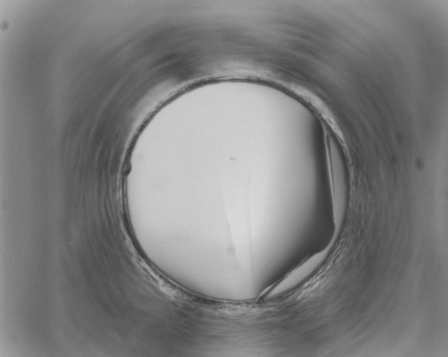 X0000060581191200512011725