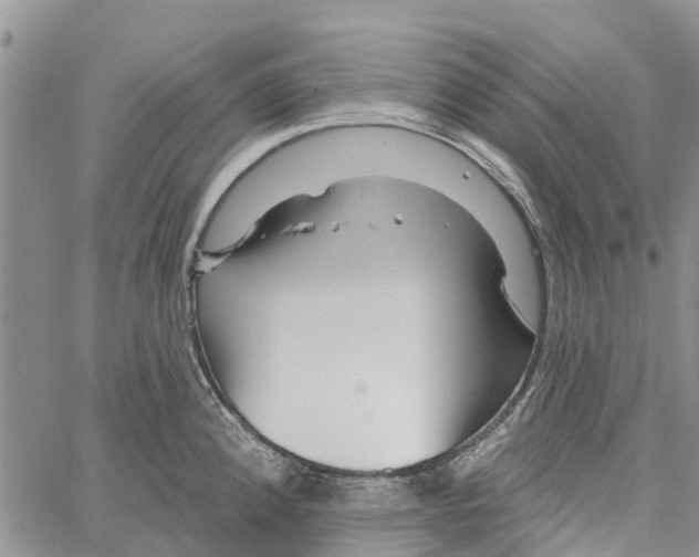 X0000060581192200512011725