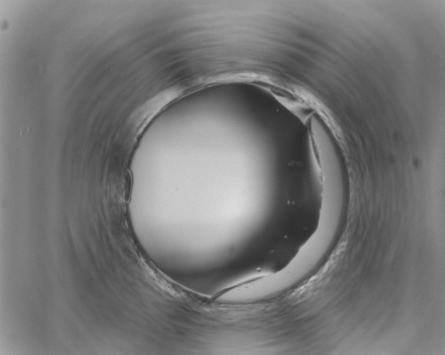 X0000060581193200512011725