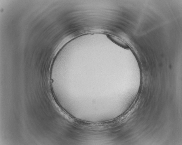 X0000060581194200512011725