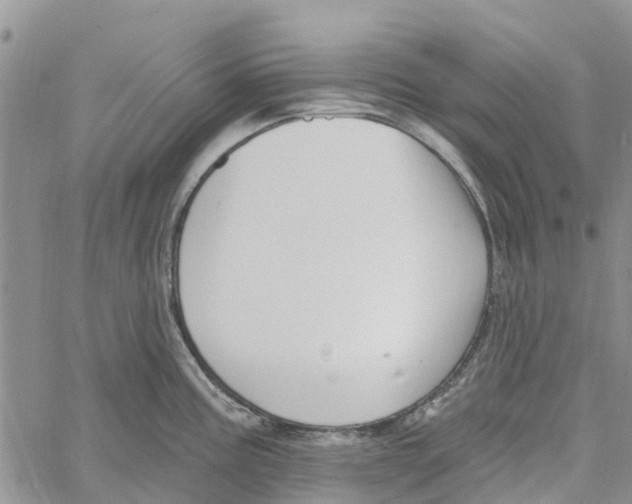 X0000060581195200512011725