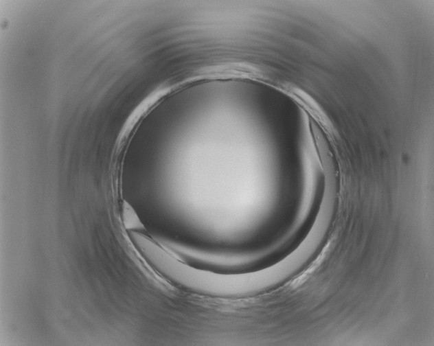 X0000060581196200512011725