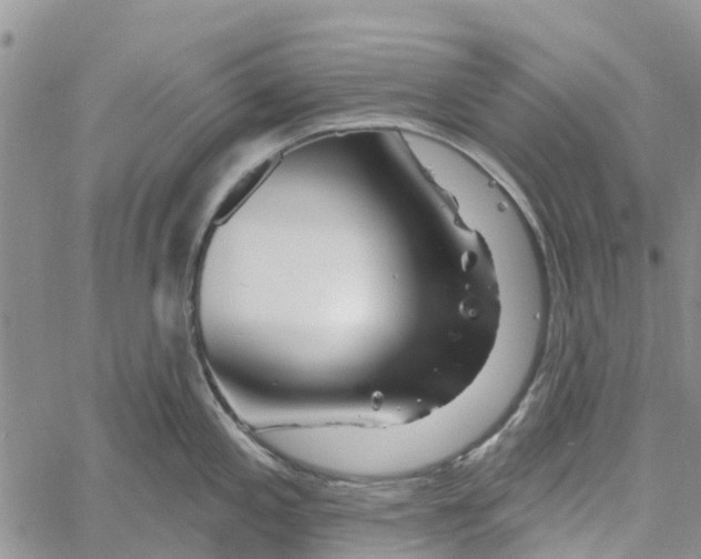 X0000060581197200512011725