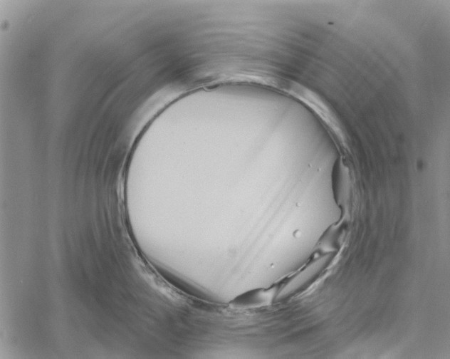 X0000060581198200512011725