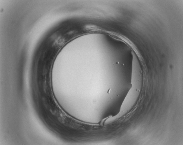 X0000060581199200512011725