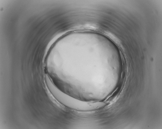 X0000060581200200512011725