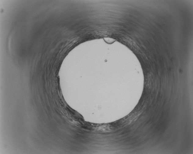 X0000060581201200512011724