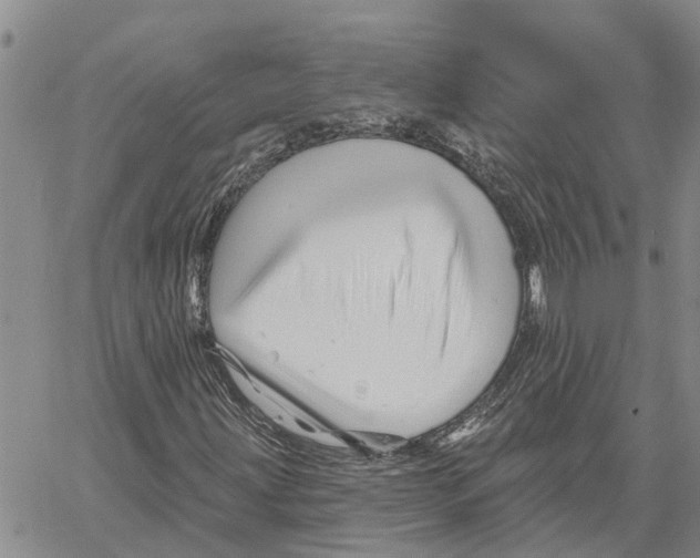 X0000060581203200512011724