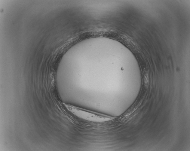 X0000060581204200512011724