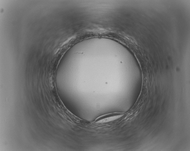 X0000060581205200512011724