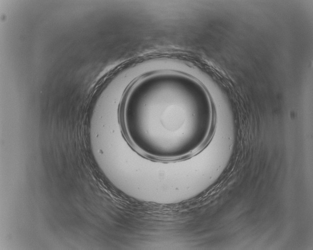 X0000060581206200512011724