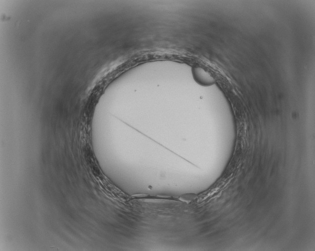 X0000060581207200512011724