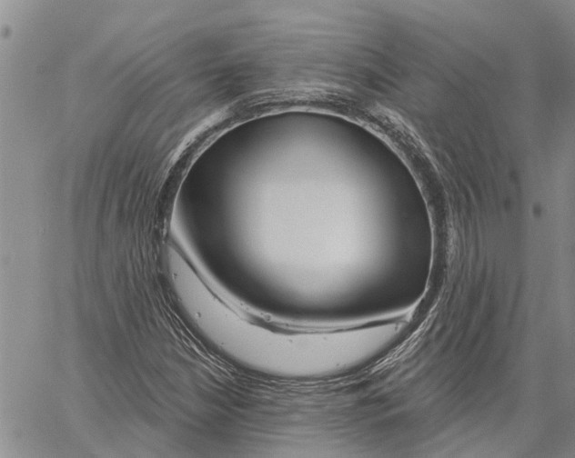 X0000060581210200512011724