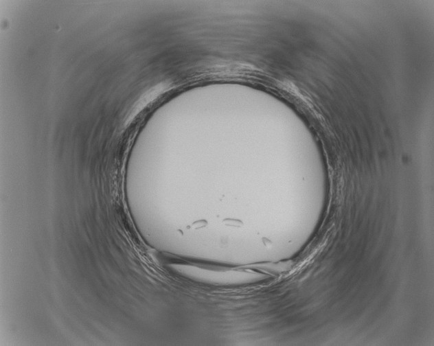 X0000060581211200512011724