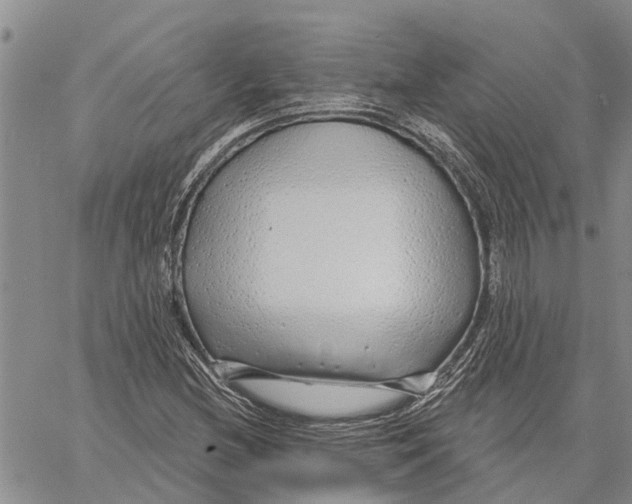 X0000060581212200512011724