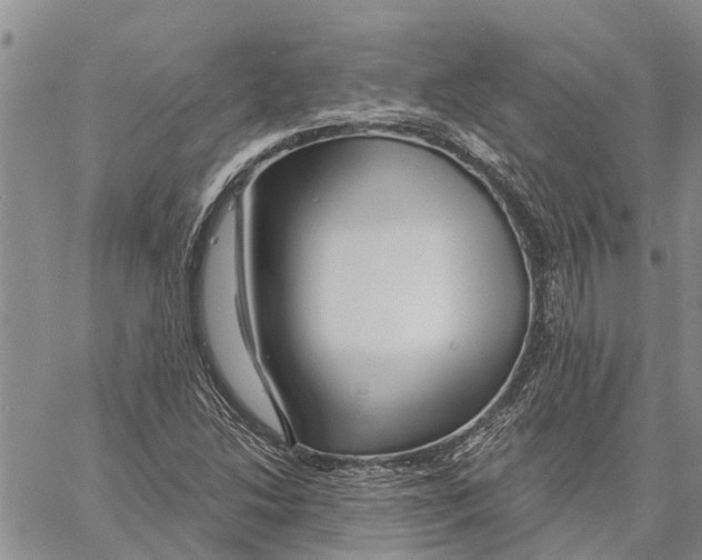 X0000060581214200512011724