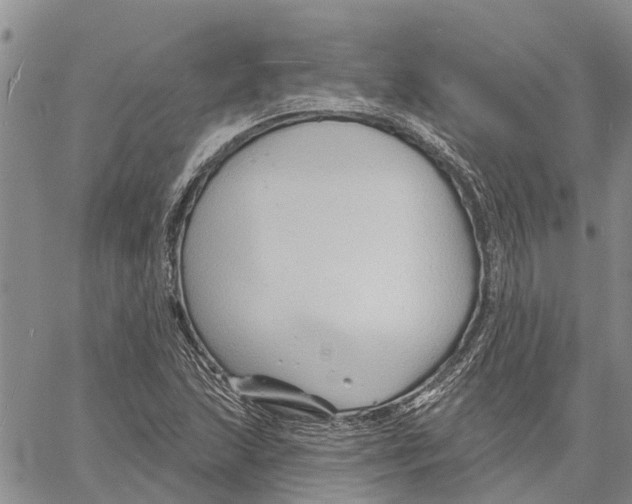 X0000060581215200512011724