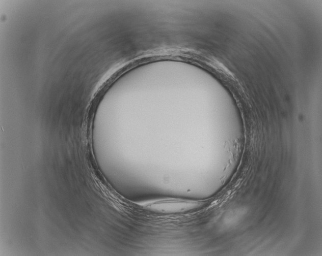 X0000060581216200512011724