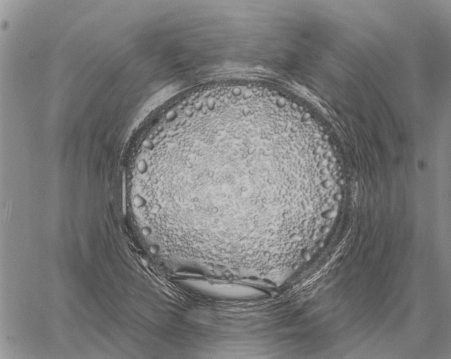 X0000060581219200512011724