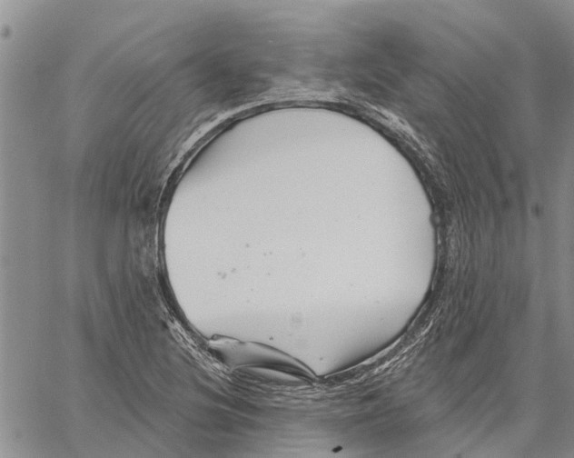 X0000060581220200512011724