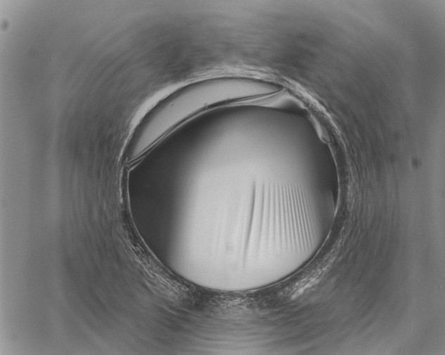 X0000060581222200512011724