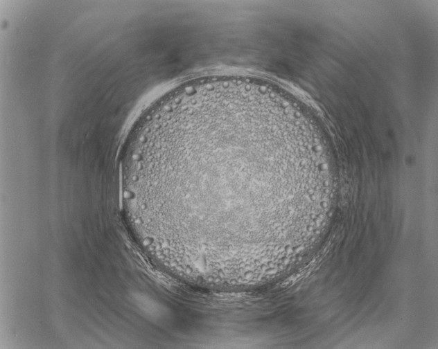 X0000060581223200512011724