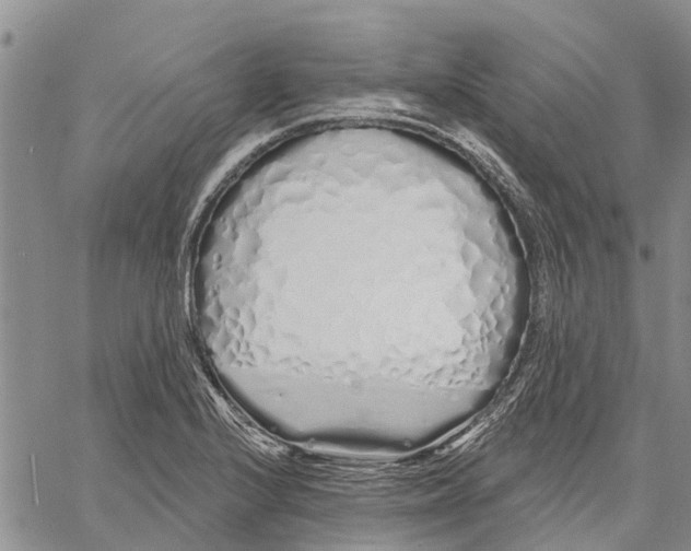 X0000060581224200512011724