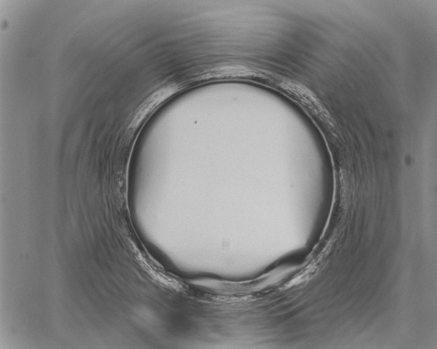 X0000060581225200512011724