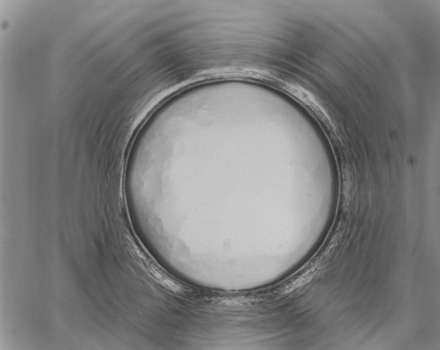 X0000060581228200512011724