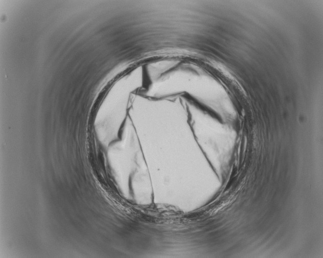 X0000060581229200512011724