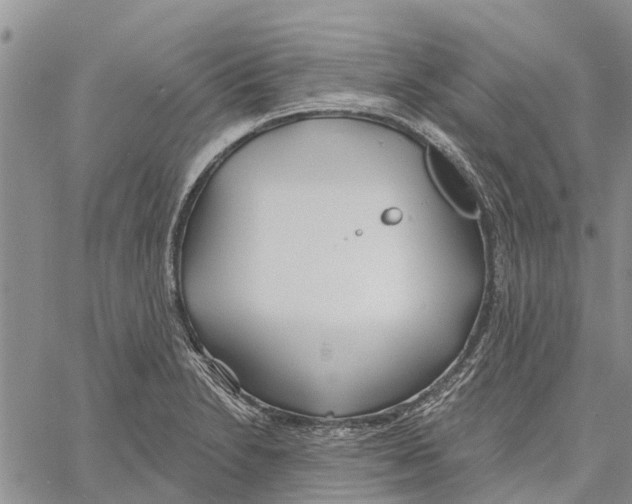 X0000060581230200512011724