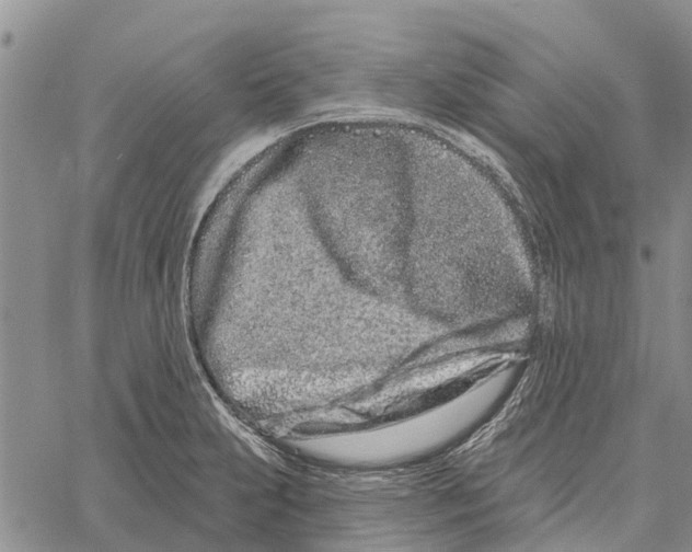 X0000060581231200512011724