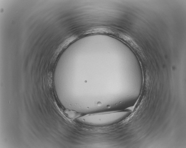 X0000060581233200512011725