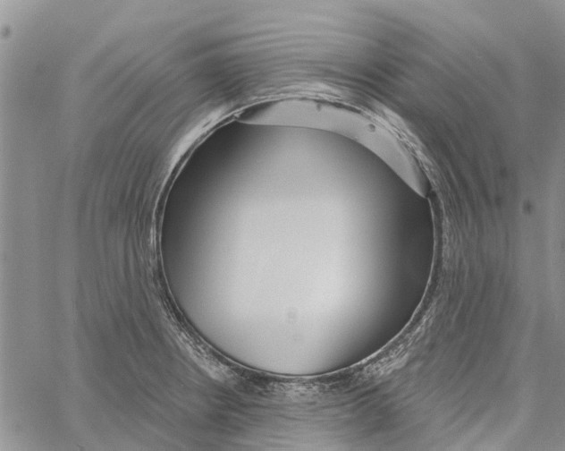 X0000060581234200512011725