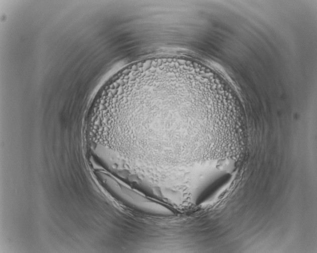 X0000060581235200512011725