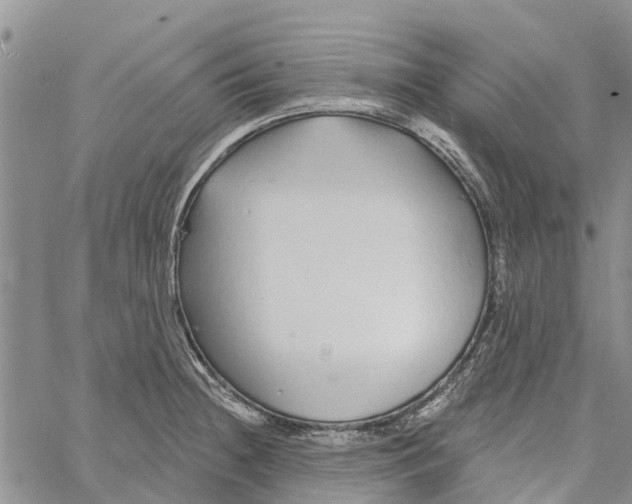 X0000060581236200512011725