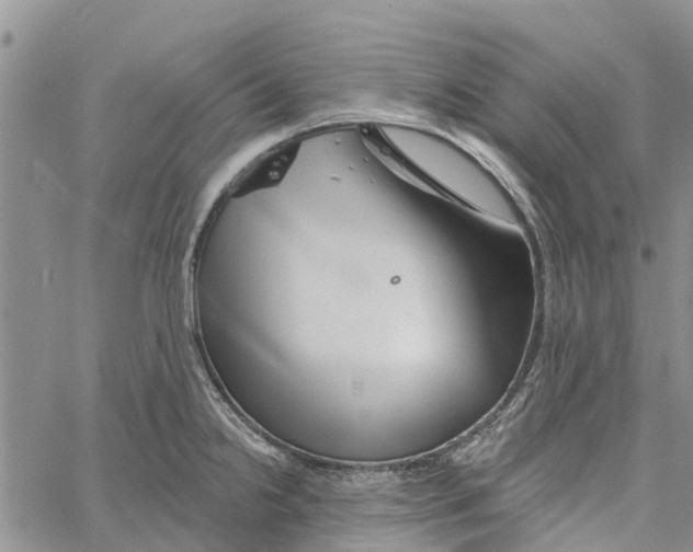 X0000060581238200512011725