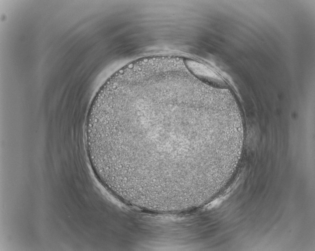 X0000060581239200512011725