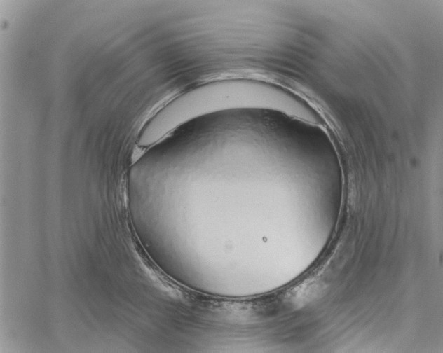 X0000060581241200512011725