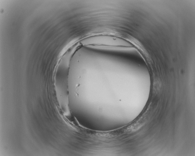 X0000060581242200512011725