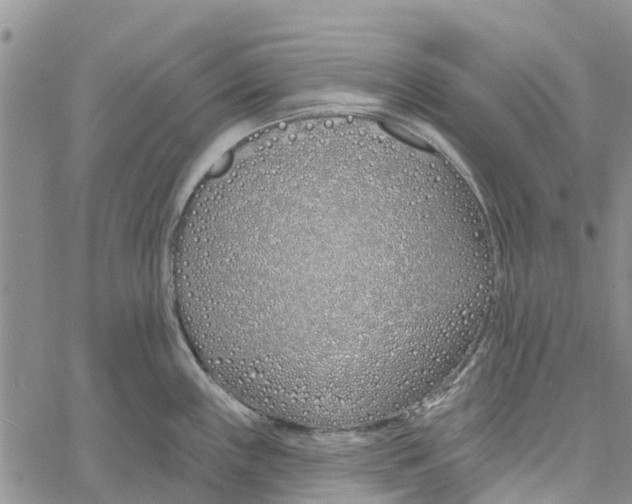 X0000060581243200512011725