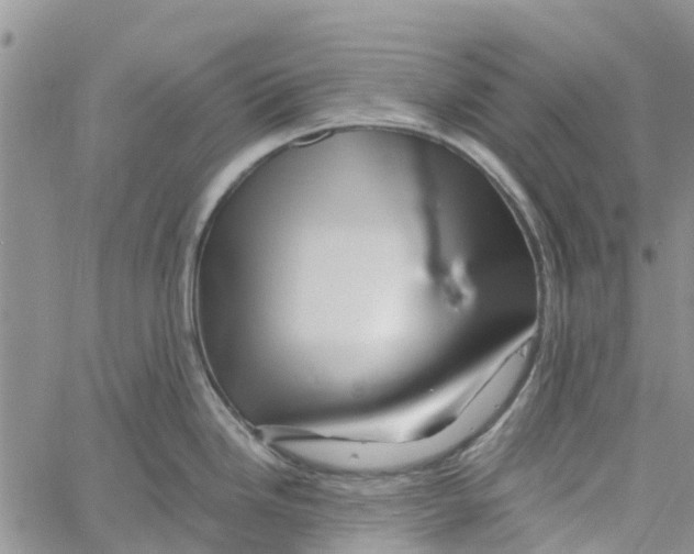 X0000060581246200512011725