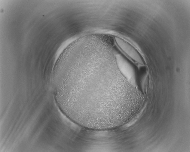 X0000060581247200512011725