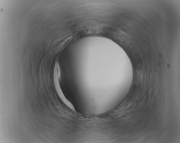 X0000060581250200512011724